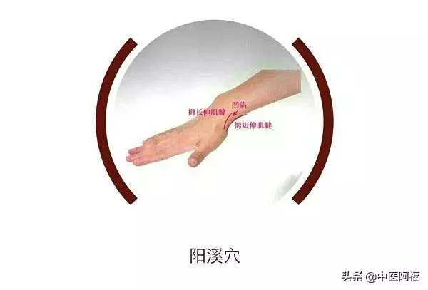 陽溪穴——橈側腕關節疼痛的主選穴