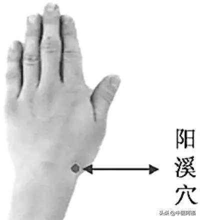 陽溪穴——橈側腕關節疼痛的主選穴