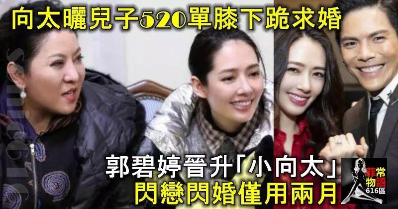 向太曬兒子520單膝下跪求婚,郭碧婷晉升「小向太」,閃戀閃婚僅用兩月!