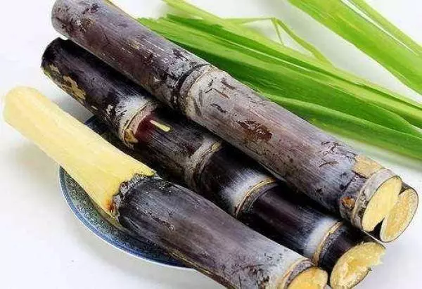 這種水果,比紅棗還補血,號稱【補血之王】,能促進骨骼生長、消除疲勞、預防口臭,氣色不好的朋友可以吃,現在正上市