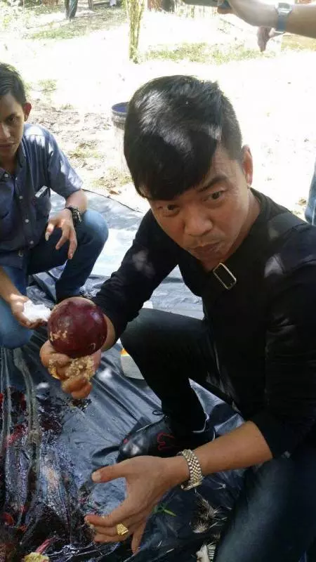 網民謾罵聲一片!尊嚴哥Sunny Coco神回一句:「我又不是賣