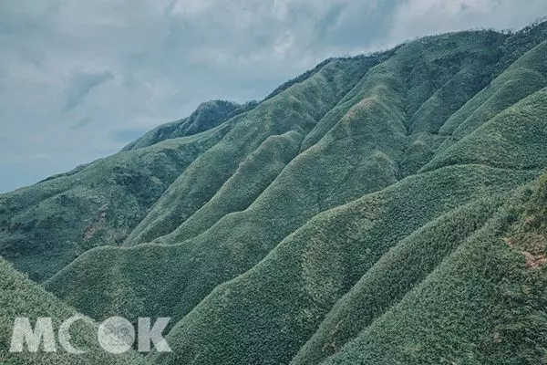 超療癒抹茶山!360度坐擁蘭陽百萬級夜景