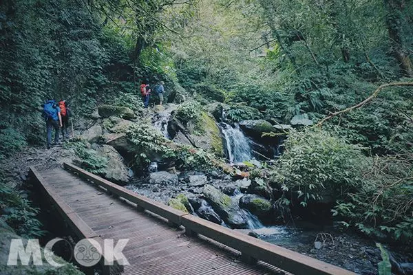 超療癒抹茶山!360度坐擁蘭陽百萬級夜景
