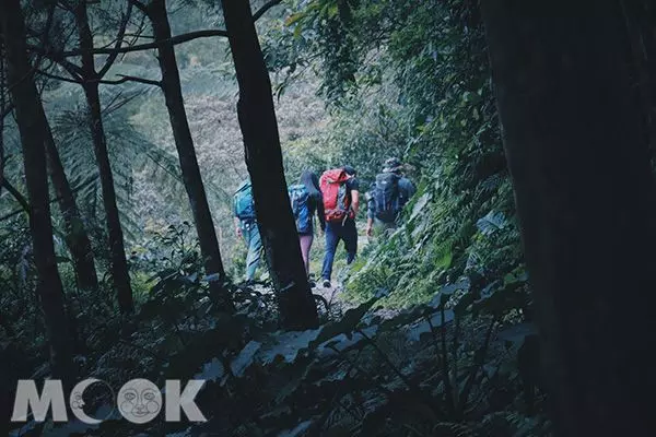 超療癒抹茶山!360度坐擁蘭陽百萬級夜景