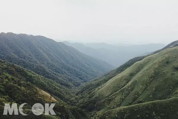超療癒抹茶山!360度坐擁蘭陽百萬級夜景