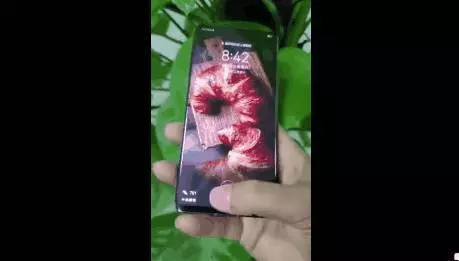 大地震!華為連夜扔出炸彈,蘋果三星懵了,全世界沸騰!