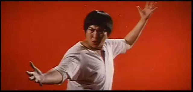 甄子丹將出演200斤胖子,新片《肥龍過江》致敬李小龍洪金寶「2019最新預告視頻」