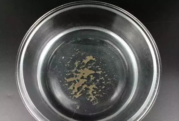 還在用鹽水讓蛤蜊吐沙?太慢了, 這裡教你三招快速的,讓蛤蜊吐沙又快又徹底
