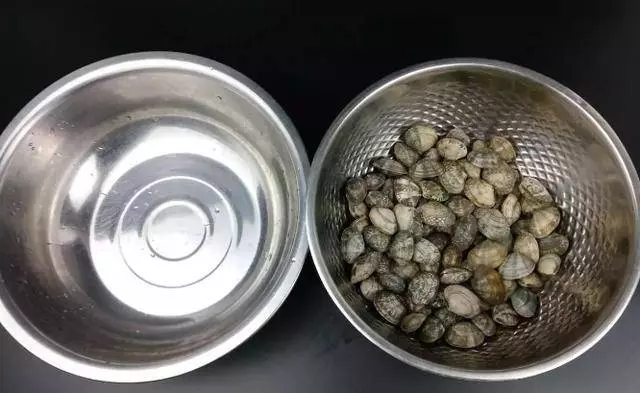還在用鹽水讓蛤蜊吐沙?太慢了, 這裡教你三招快速的,讓蛤蜊吐沙又快又徹底