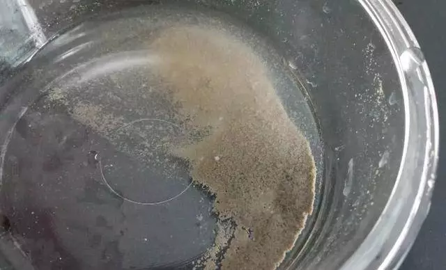 還在用鹽水讓蛤蜊吐沙?太慢了, 這裡教你三招快速的,讓蛤蜊吐沙又快又徹底
