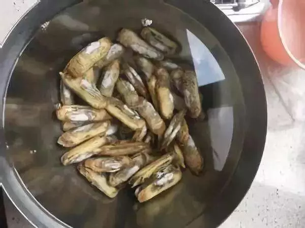 還在用鹽水讓蛤蜊吐沙?太慢了, 這裡教你三招快速的,讓蛤蜊吐沙又快又徹底