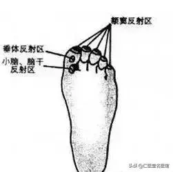 重要通知:如果腳底出現這條線,一定要揉開!!