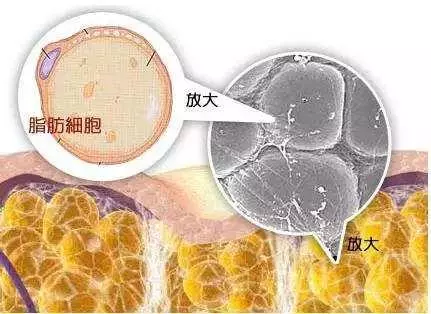 從五官就能看出身體30個健康秘密!