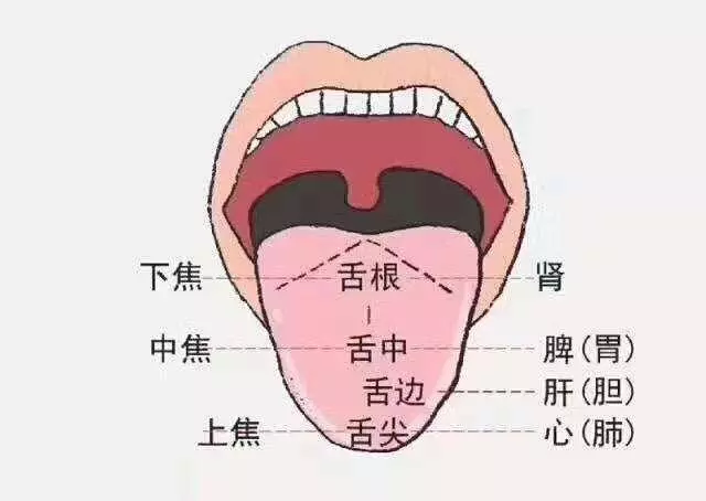 從五官就能看出身體30個健康秘密!