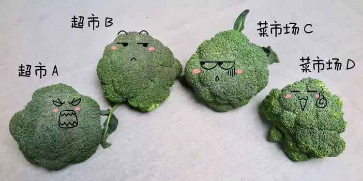 1朵花椰菜10條蟲?花椰菜竟成了葷菜?教你清洗妙招,髒東西、小蟲子洗得乾乾淨淨