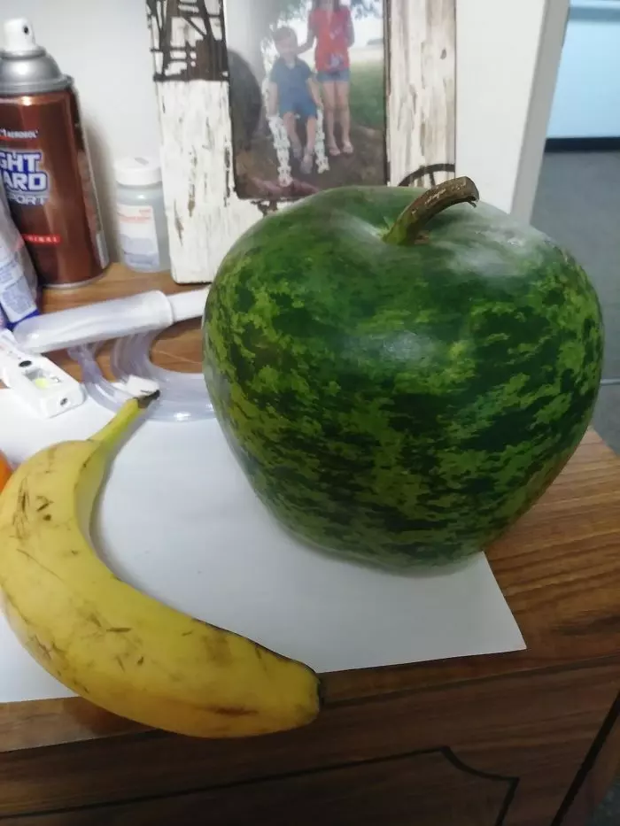 20張證明「你的大腦已經失去掌控」的錯覺照片 體育館變成UFO嚇壞同學!