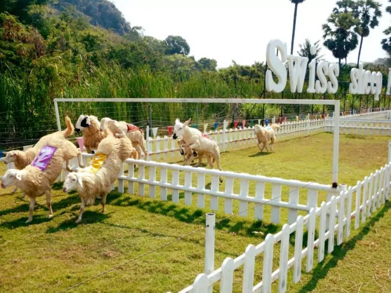 泰國最好玩的8大主題樂園!下次去泰國就這樣玩!