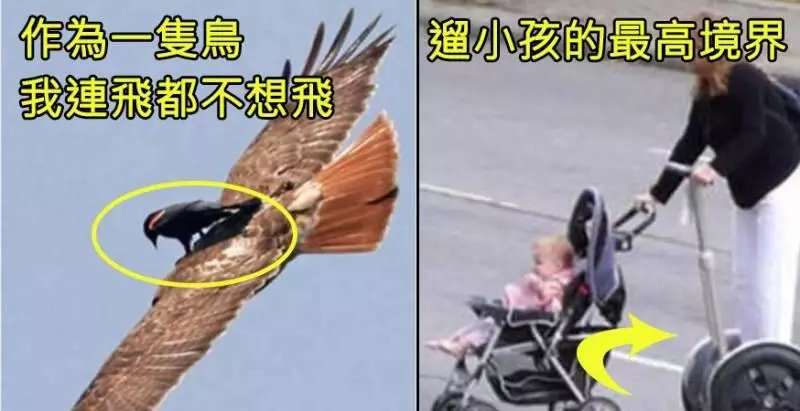 7張「懶人神技」,對偉人的先見之明跪了