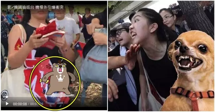 台獨女神崩壞?先譏笑殉職飛官又撕國旗「嗆言論自由」...證據曝光被起底:臉超腫
