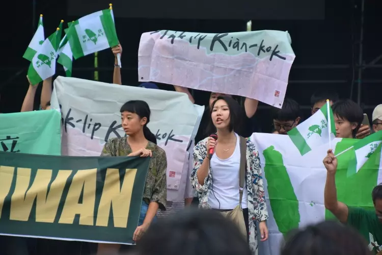 台獨女神崩壞?先譏笑殉職飛官又撕國旗「嗆言論自由」...證據曝光被起底:臉超腫