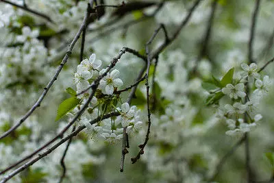 3月30號開始,財神爺庇佑,橫財正財進家門,萬事順心的5大生肖!