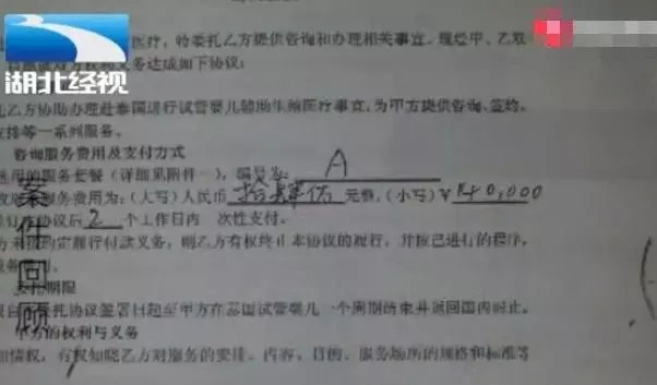 失蹤女博士突然現身 精神恍惚並懷有身孕 隨身協議讓父親悲喜交加
