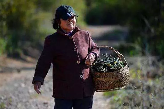 婆婆故意刁難媳婦,不料媳婦流產住院,得知媳婦身份傻住