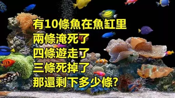 據說有99.9%的人都回答不出這道題目...你敢嘗試嗎?