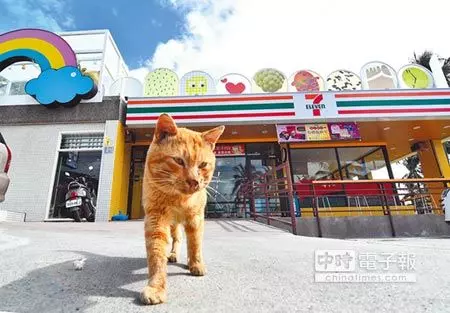 金崙小7 搶救鎮店喵星人