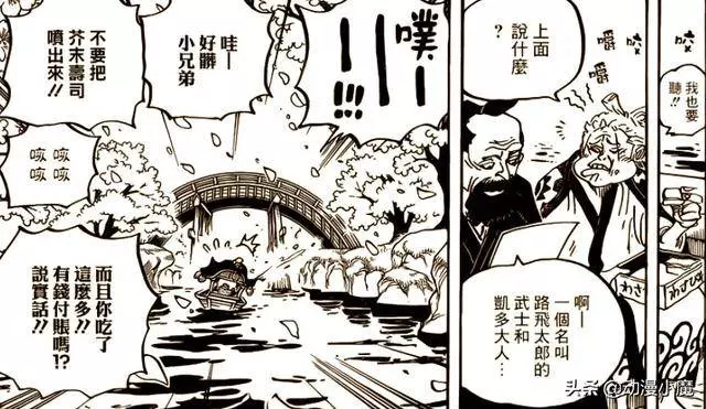 海賊王938話:索隆並不是因為受傷而暈倒,其中另有隱情