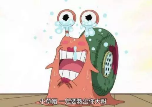 海賊王:海賊為何很少有電話蟲?真實原因牽出世界政府的大陰謀