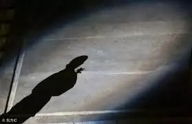 原來兒女投胎絕非偶然!教你如何分辨子女是來討債還是來報恩..