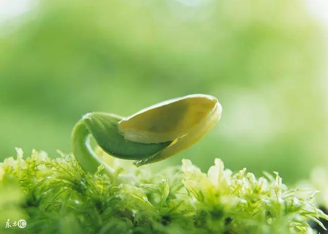 女到中年:不睡三覺,不吃三飯,不做三愛!說的什麼意思