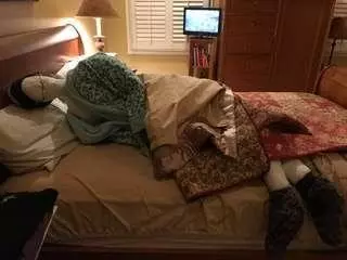狗狗患上分離焦慮,沒人在家就自殘,主人一招解決的狗狗焦慮問題
