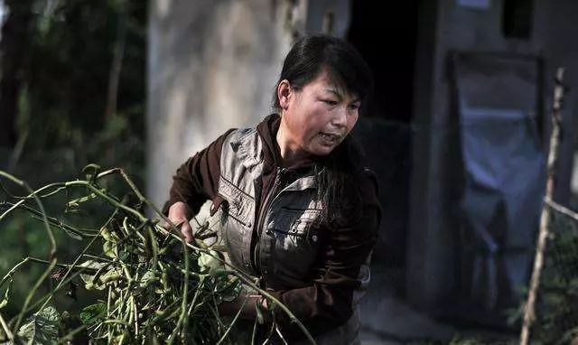殘疾姐姐照顧弟弟20年,被弟媳趕出家,一年後看見門口豪車傻住