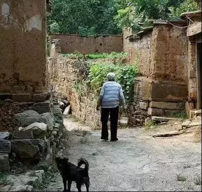 阿婆將孫子送的狗狗當寶貝,只要有好吃的就給牠吃,一年後狗狗大變樣,稱霸村子
