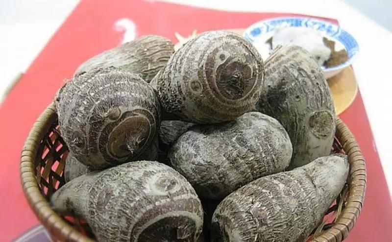 蒸著吃最好吃,癌細胞減少很多!