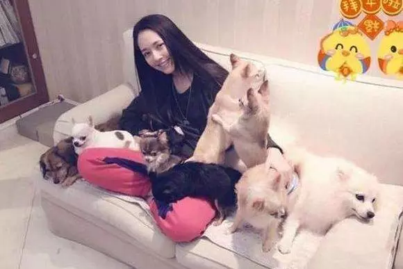 郭碧婷親妹妹曝光,長相備受爭議,網友:難怪一直不公開!