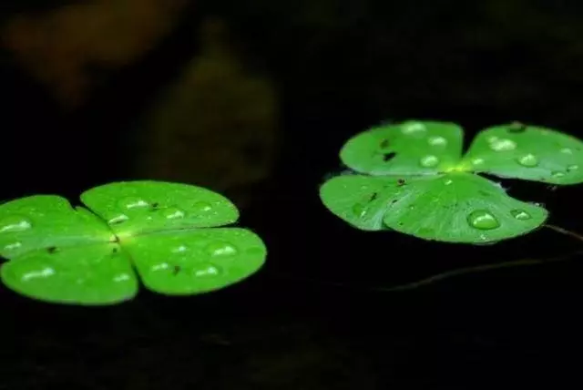 突降暴雨,你會躲進哪間房子裡?測你今生能有多少財富