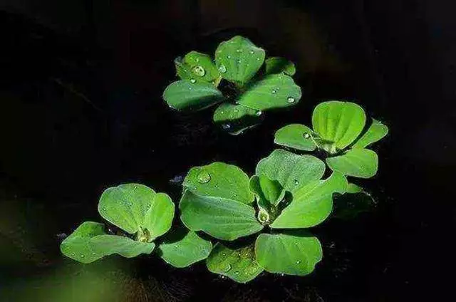 突降暴雨,你會躲進哪間房子裡?測你今生能有多少財富