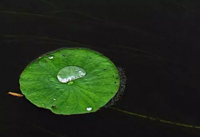 突降暴雨,你會躲進哪間房子裡?測你今生能有多少財富