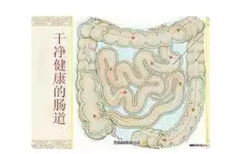 史上最強「清除宿便」法,一次前後總共排出2公斤宿便!腸子完全一乾二淨!這方法實在太厲害了!...