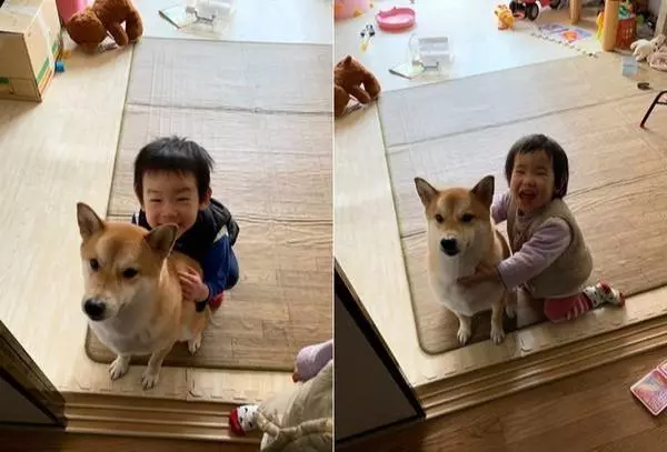 兩個孩子睡在面前,那自己懷裡的是?柴犬半夜把主人嚇醒!