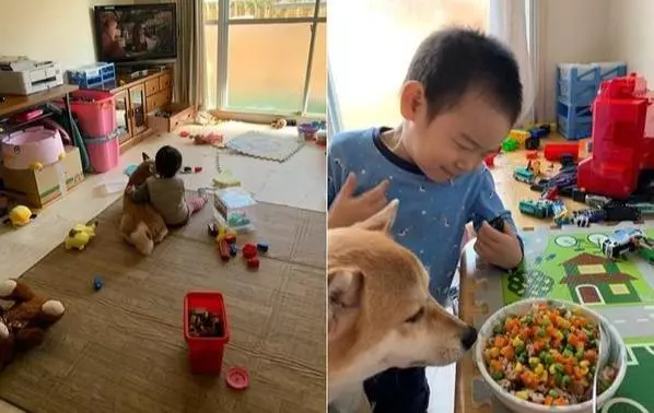 兩個孩子睡在面前,那自己懷裡的是?柴犬半夜把主人嚇醒!