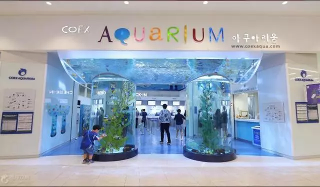 去韓國旅遊,尋找韓劇那些溫馨又熟悉的美景