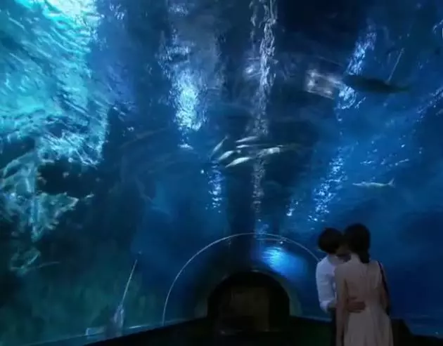 去韓國旅遊,尋找韓劇那些溫馨又熟悉的美景