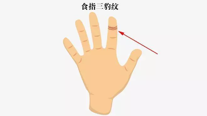 有這六大手相,富貴命格,一生不缺錢