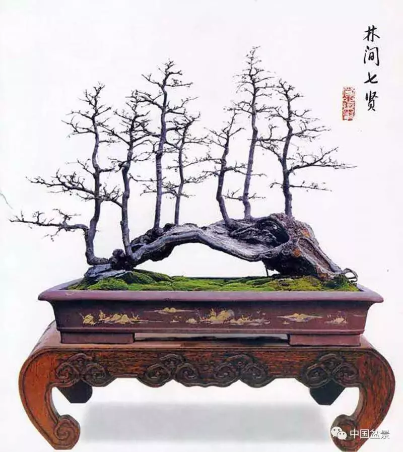 精巧獨特 臻於佳景——嶺南盆景藝術大師陶大奎作品欣賞
