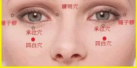 【每日一穴: 四白穴】
