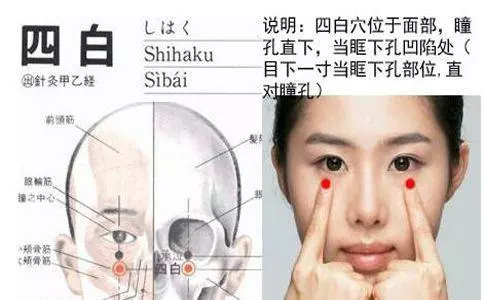 【每日一穴: 四白穴】